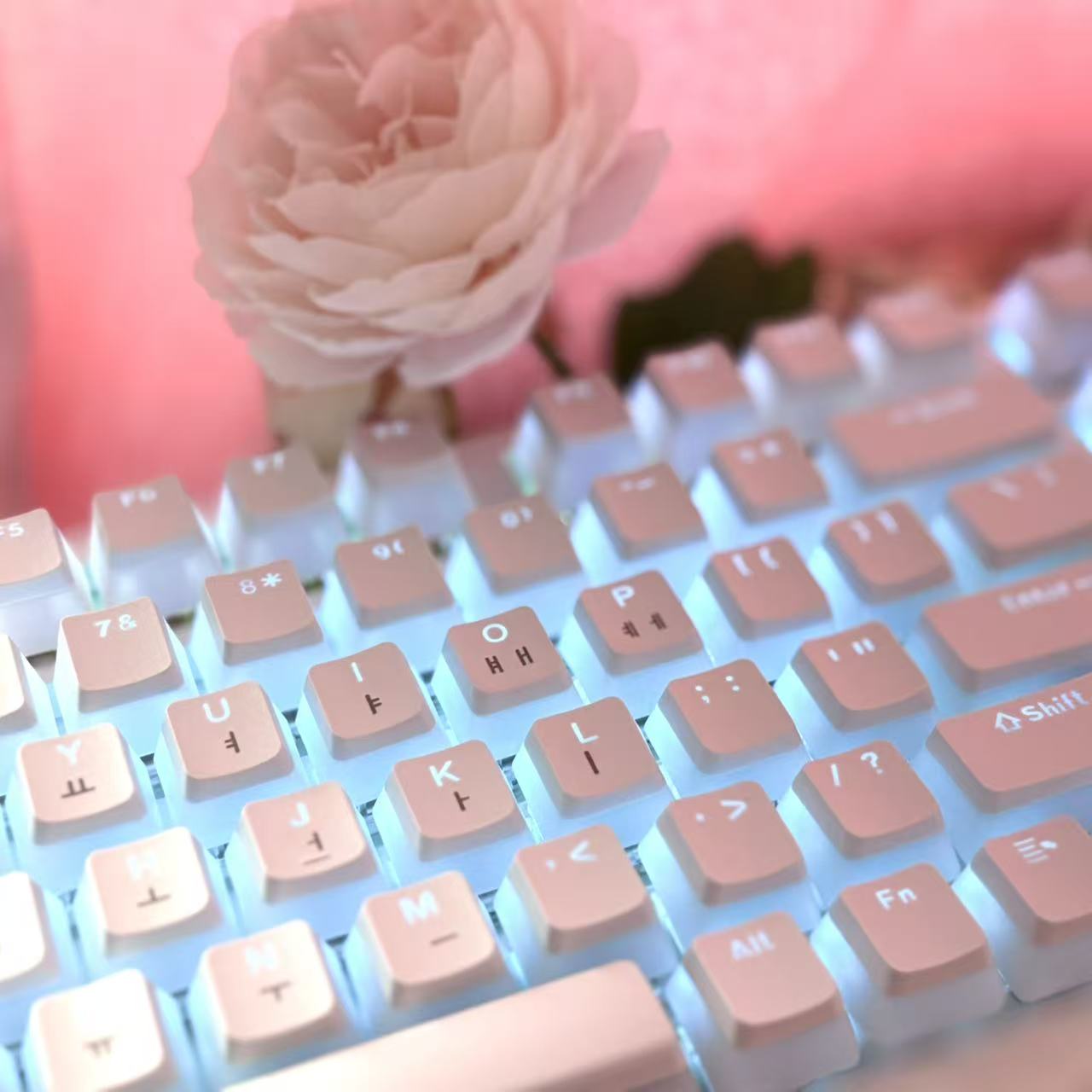 Hangul Keycap disposition coré - Gaming Accessories Aesthetic avis et prix